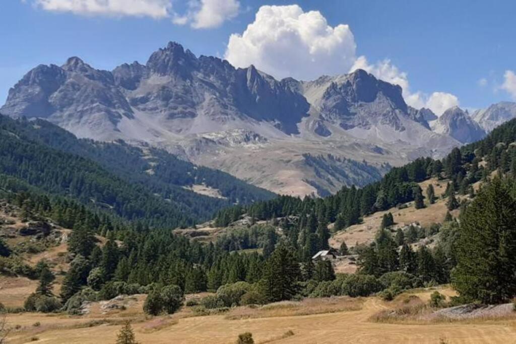 Appt A Ancelle Pied Des Pistes Daire Dış mekan fotoğraf